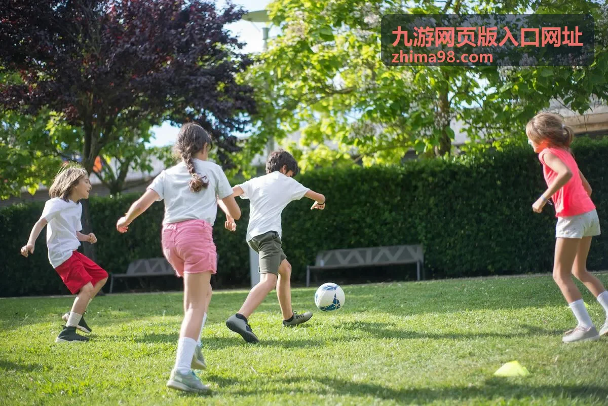 九游网页版入口网址会员权益对照页面视觉