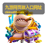 九游网页版入口网址会员权益对照配图